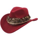 Chapeau de cowboy avec lanière à plumes