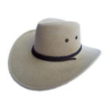 Chapeau western large bordure