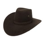 Chapeau style western paille naturelle